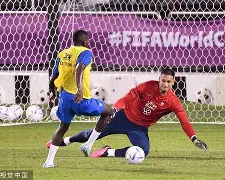 关于法国队惊险过关，为晋级奠定基础的信息