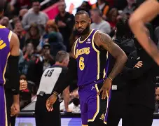 步行者背靠背再胜球队正迈上巅峰的简单介绍