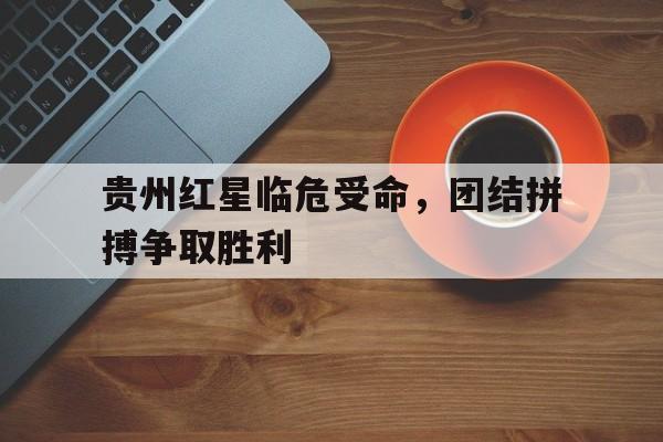 贵州红星化工集团有限公司