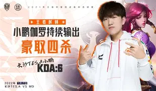 挑战王者：绝杀获胜瞬间照耀球场的简单介绍
